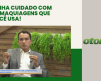 destaque