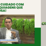 destaque